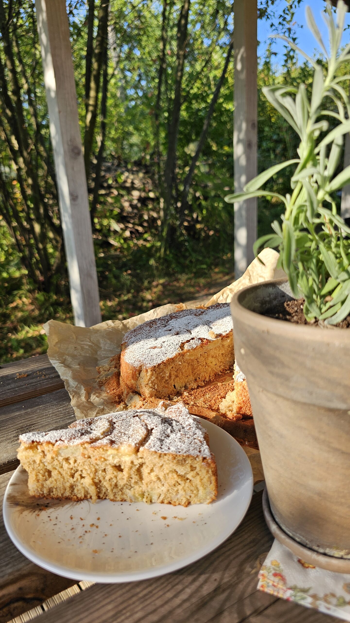 Ciasto owsiane z jabłkami i bananami